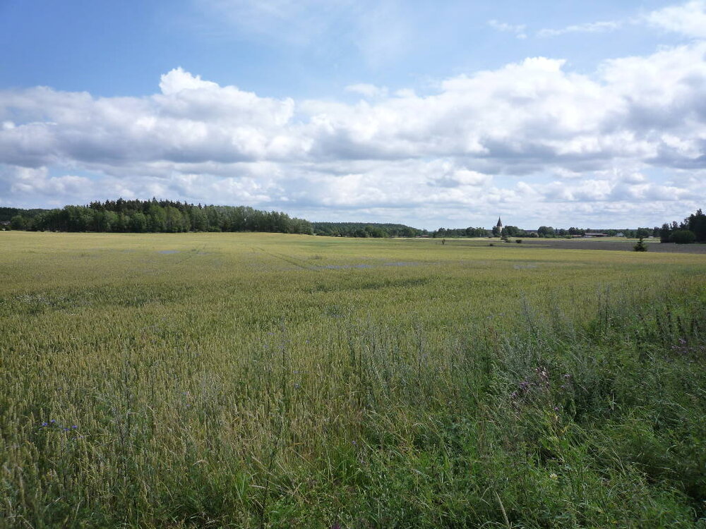 Schweden48.thumb.JPG.89046769b918265d7cf02d508a89e860.JPG