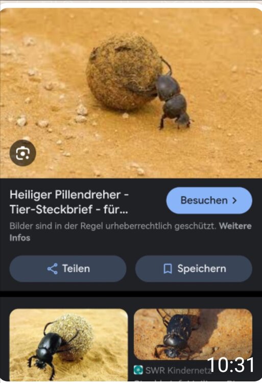 Screenshot_2024-04-29-04-56-52-55_6012fa4d4ddec268fc5c7112cbb265e7.thumb.jpg.0d7177d0efe71e083bd389499e2e9e6d.jpg