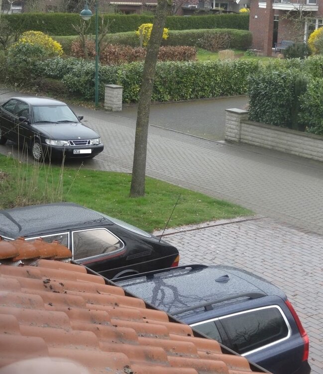 Sichtung.thumb.jpg.16adf7f697959ac8322e311f83b98f63.jpg