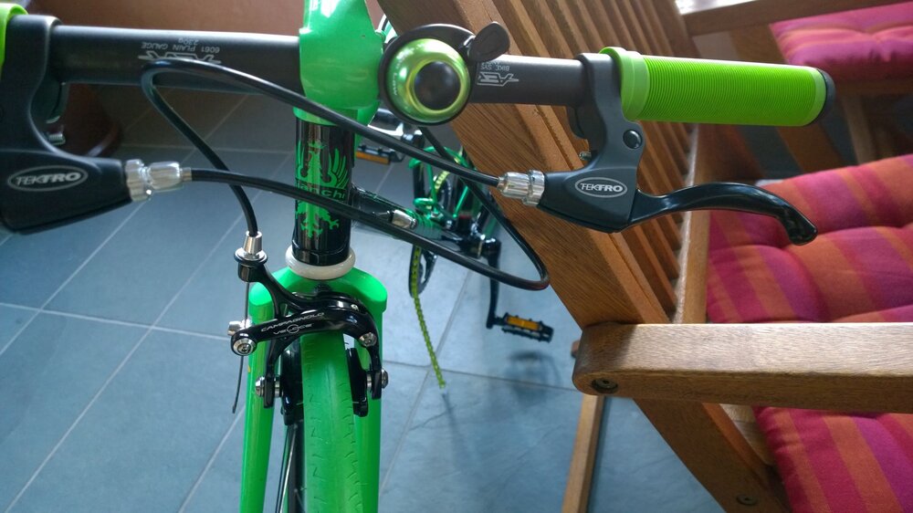 Single-Speed5.thumb.jpg.53e88a535ae9f5621e2d57d6eb240a68.jpg