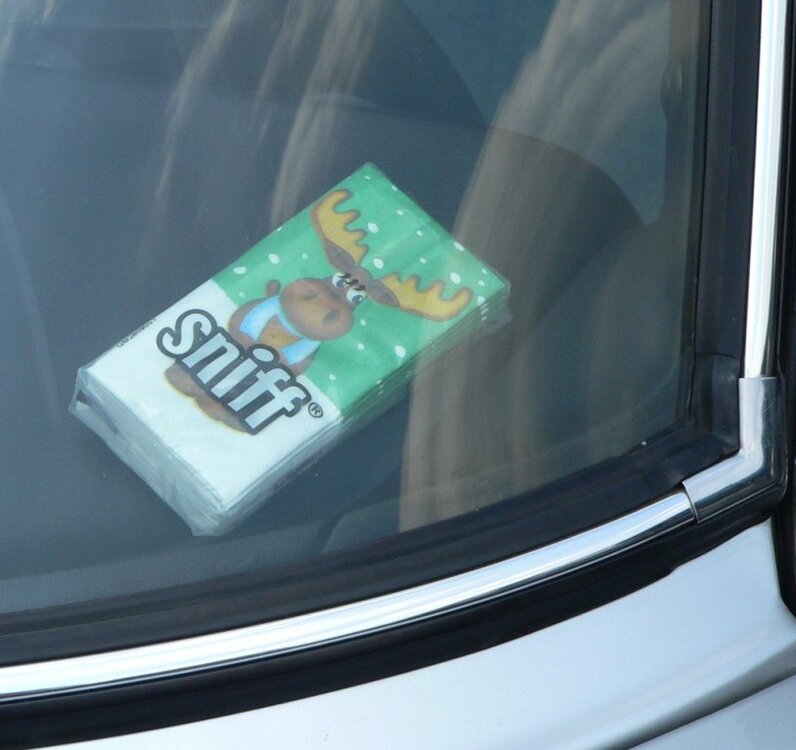 Sniff.thumb.jpg.78eeb7410aa709c610d9a131a63455ad.jpg