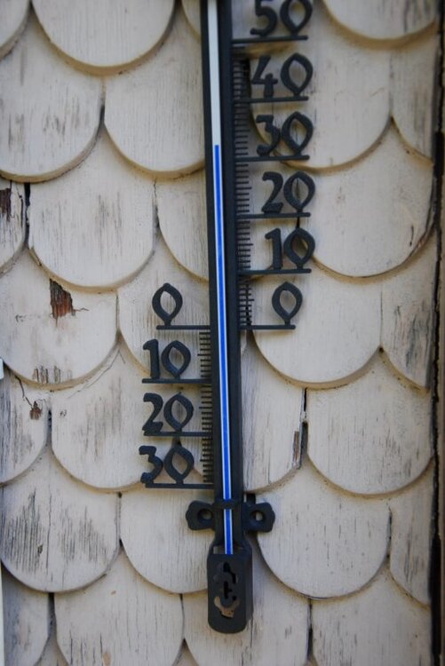 Sommer.thumb.jpg.a5284cc1bcaebdfa30761e9426b395b3.jpg