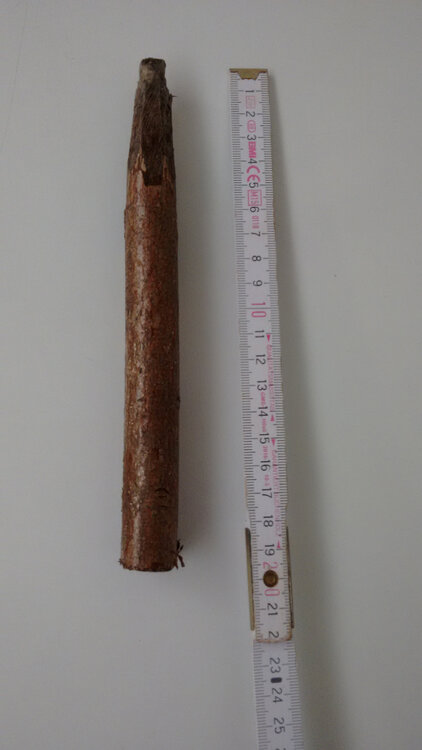 Spezial_Hilfsmittel.thumb.jpg.1259e8a15d4e263af8f50593bd156869.jpg
