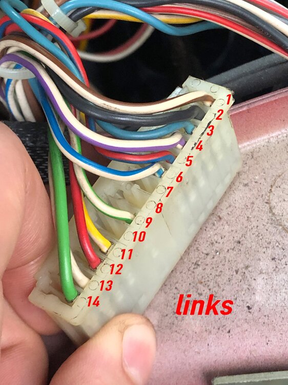 SteckerClusterlinks.thumb.jpg.fde245bb2a53446a5fc2ac764a029999.jpg