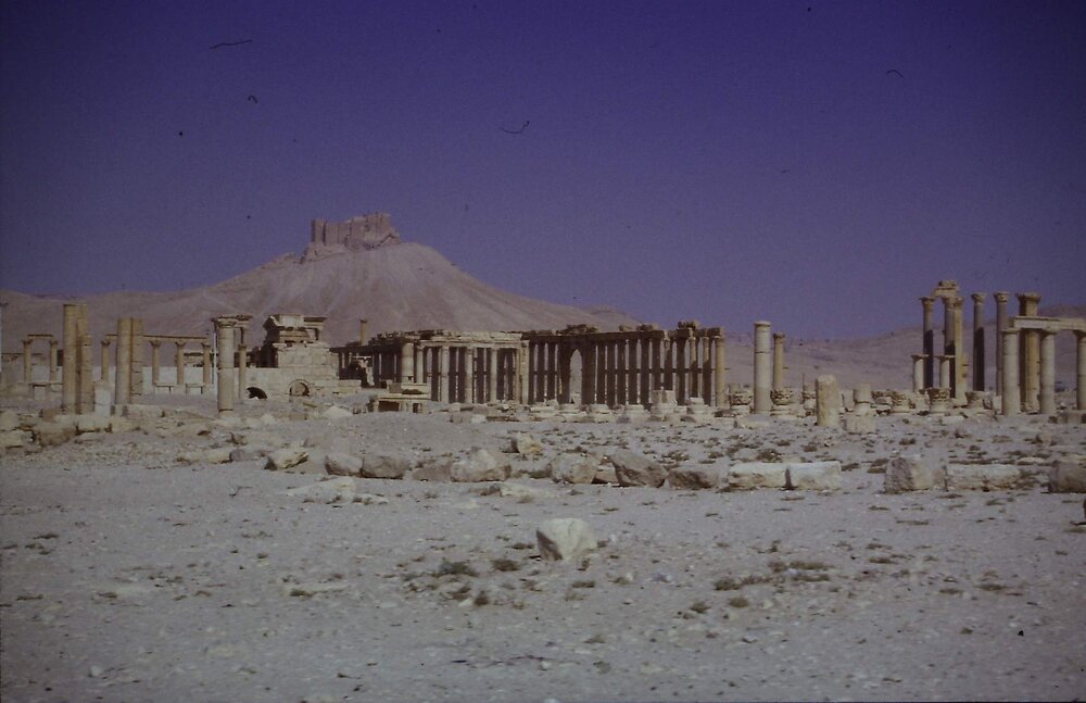 TADMOR_02.thumb.jpg.0d3df4686bb8275d1f1bec54a62dce73.jpg