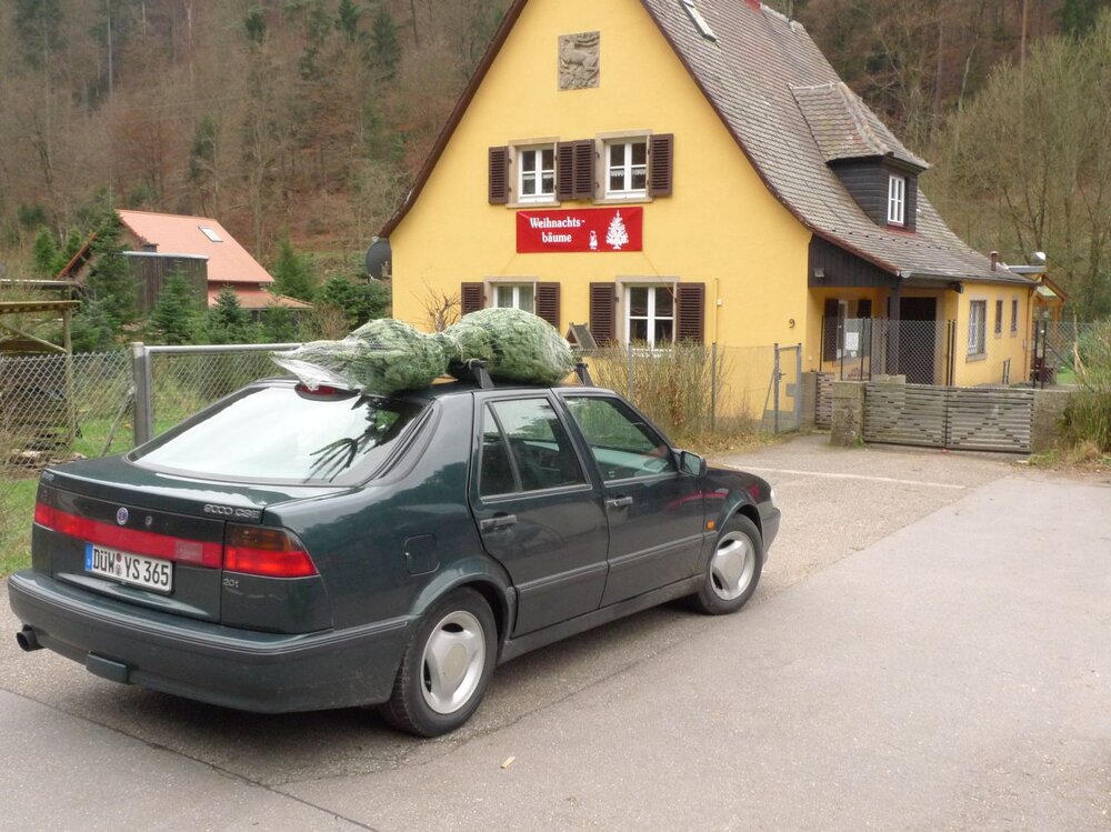 Tannenbaum.thumb.jpg.15daf660a1641bfadc0227088aa625df.jpg