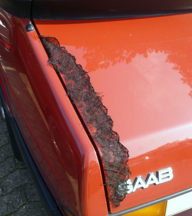 Trauerpschel.thumb.jpg.685636b09f8e48d74c02ae06fc33eafd.jpg
