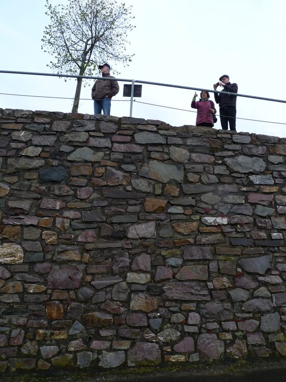 Tripel-M-Ausfahrt07.thumb.jpg.17ef8304a8eb9d9aa5e18a91740e49b7.jpg