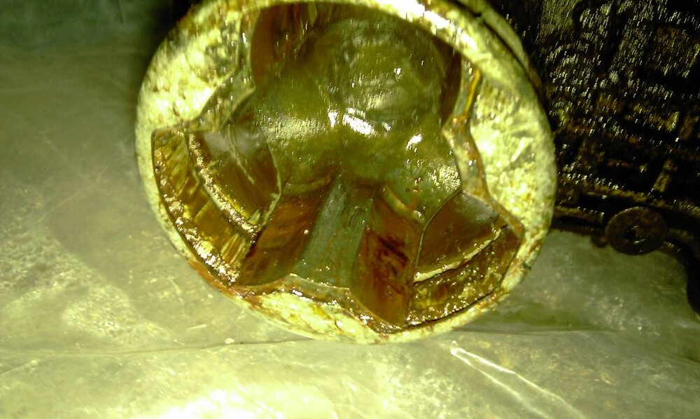 Tripodentopflinks(3).thumb.jpg.9bc2e08ffd1d2e5d1a814012edc71c49.jpg