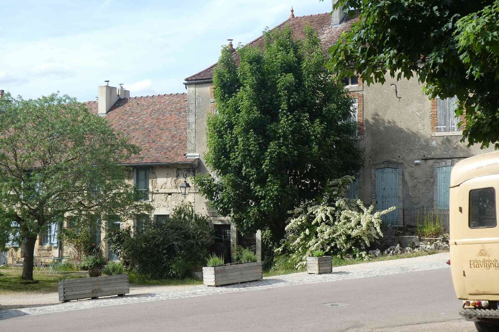 Voltigeur_01.thumb.jpg.0459cb58ccfbe4ab61bc33b2988d6c77.jpg