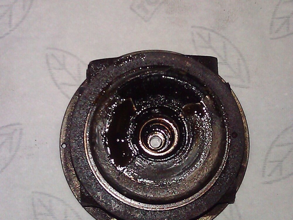 WP_000061.thumb.jpg.eed67c5a8926f35bfb7522f5923c14be.jpg