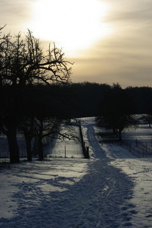 Weg_gegen_Sonne.thumb.jpg.2f7ebead9b19aca54080fb0b4e35a3d6.jpg
