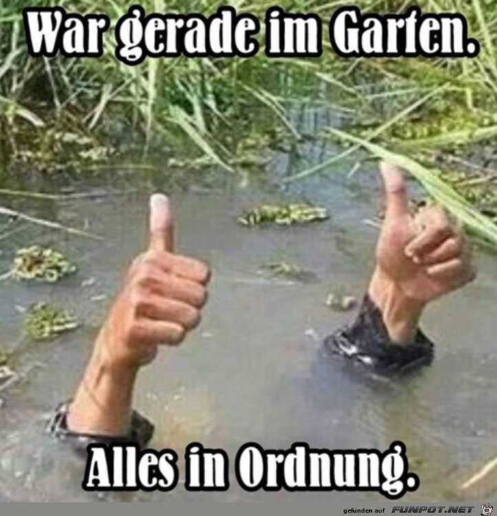 WhatsAppImage2021-07-14at13_32_05.thumb.jpeg.8ee47b3ec2af4907e9e2f5e95d876641.jpeg