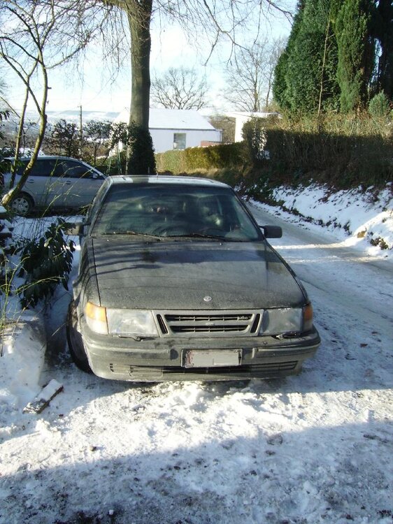 WinterCD.thumb.jpg.77fa52661879b26e9036c2c39dd0e7e1.jpg