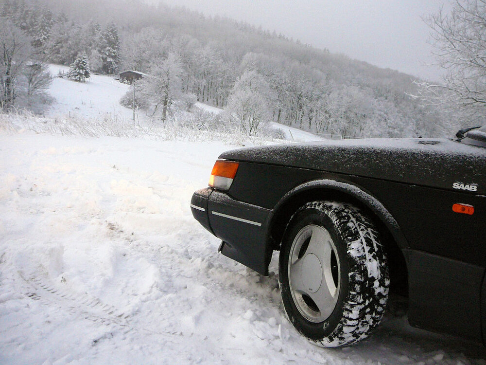 Winter_2009-1.thumb.jpg.33747e2f4f847ed47583e886fa9f90e4.jpg