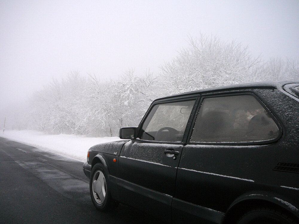 Winter_2009-3.thumb.jpg.370fdeb4e46db83e75744a866ed863d4.jpg