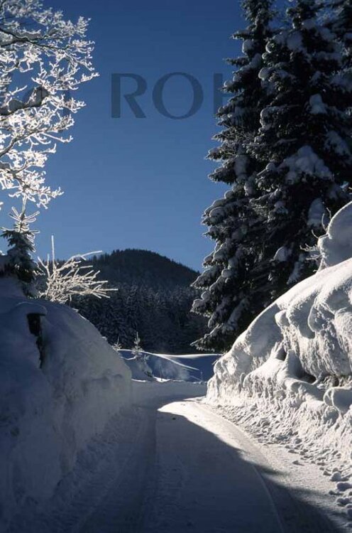 Winterstrasseeinspurig.thumb.jpg.e0cab85c87012ee5b9dbd1a28005da80.jpg