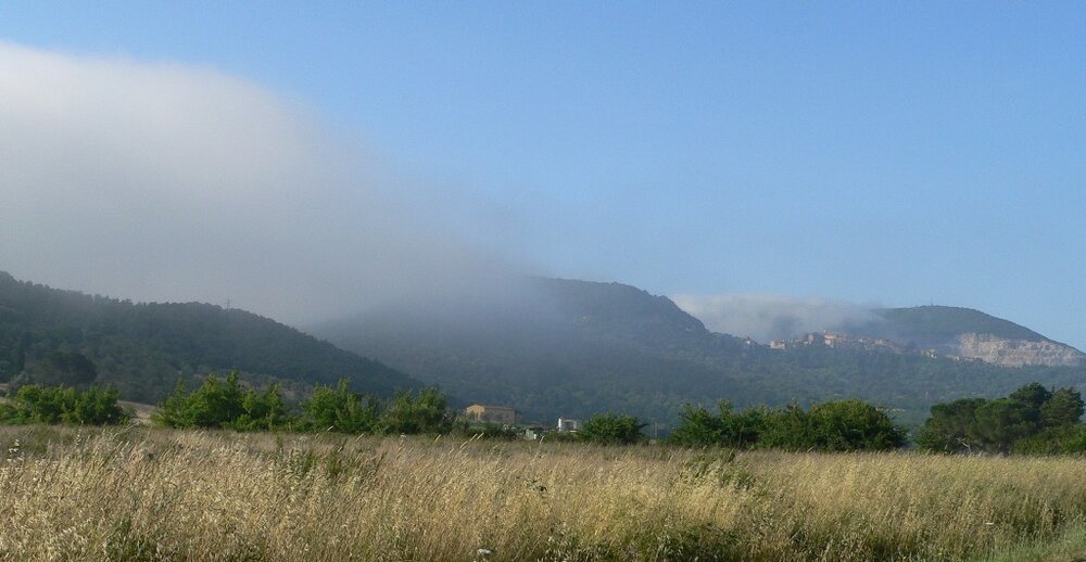 WolkeAmBerg.thumb.jpg.f93c192948f0f230228ecf51e3b293c0.jpg