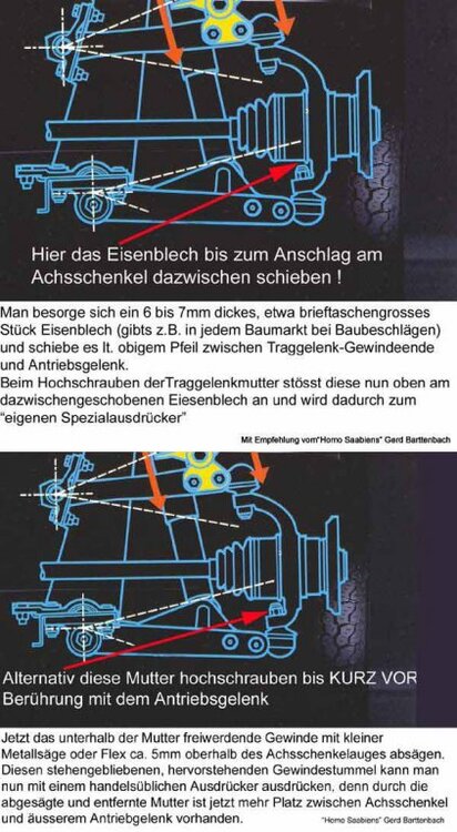 XTraggel-kombi.thumb.jpg.df6030d3d76c2cf24d91a3f9b50e3ca0.jpg