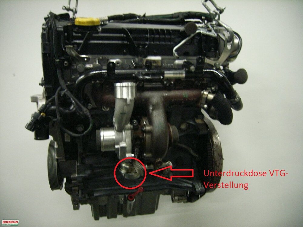 Z19DT_3.thumb.jpg.e35201ab81fd8d2ce9be4a1ec1253abe.jpg