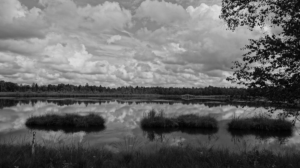 _DSC4828ww.thumb.jpg.3c8ea1be03fd556a05aa8124c386380e.jpg