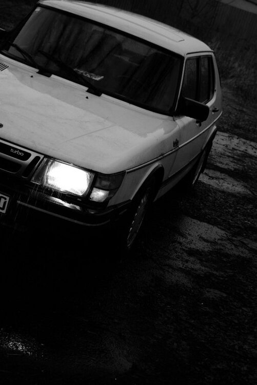 _IGP4070bb.thumb.jpg.45d0b6fd8c9f4b5aa23fe95378c66d06.jpg