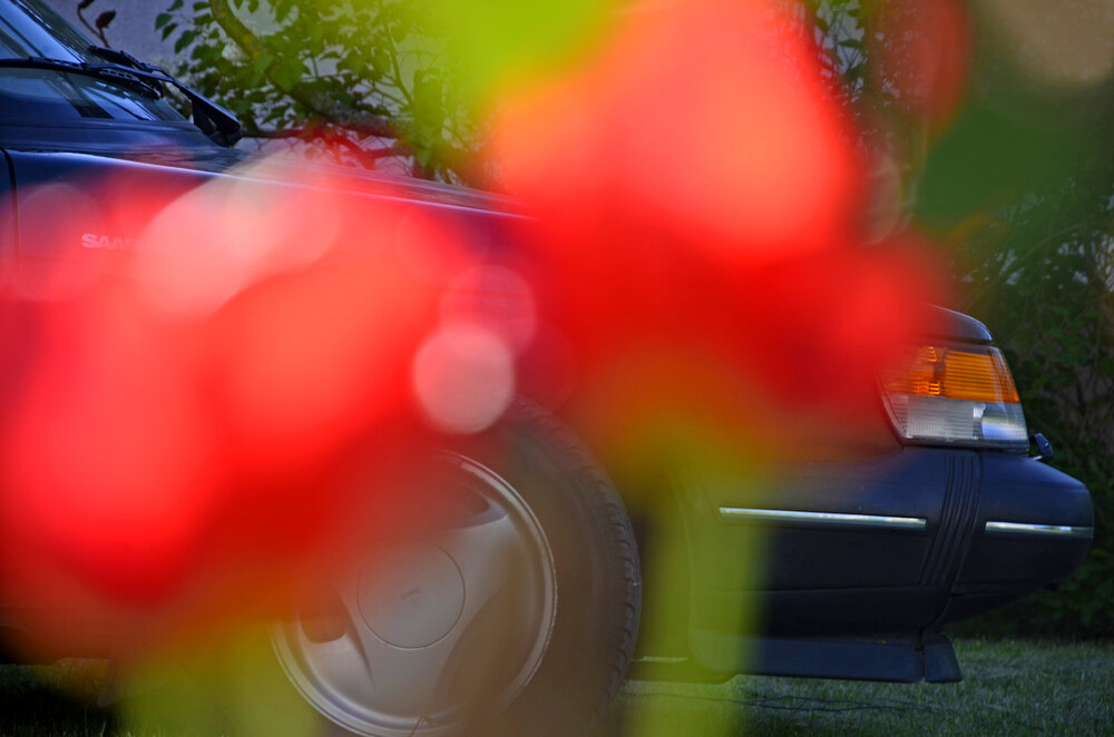 _NKH9138.thumb.JPG.d650a522fe8687726cb306ca682ba577.JPG