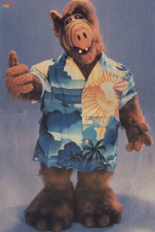 alf-po1.thumb.jpg.77b1e99d2635e918f2eab67c6b2d7fad.jpg