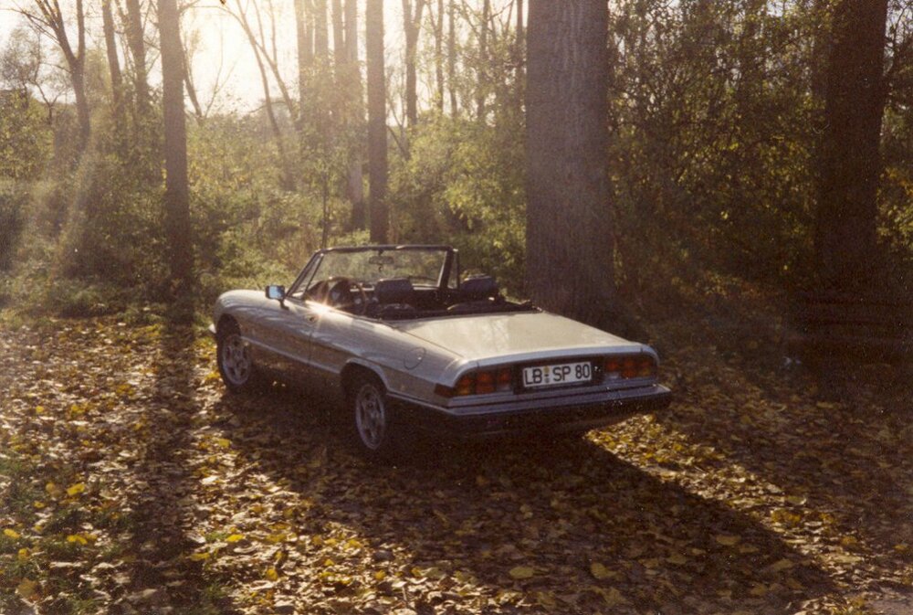 alfa.thumb.jpg.4529912a2765d2900a50cd064b49bcb6.jpg
