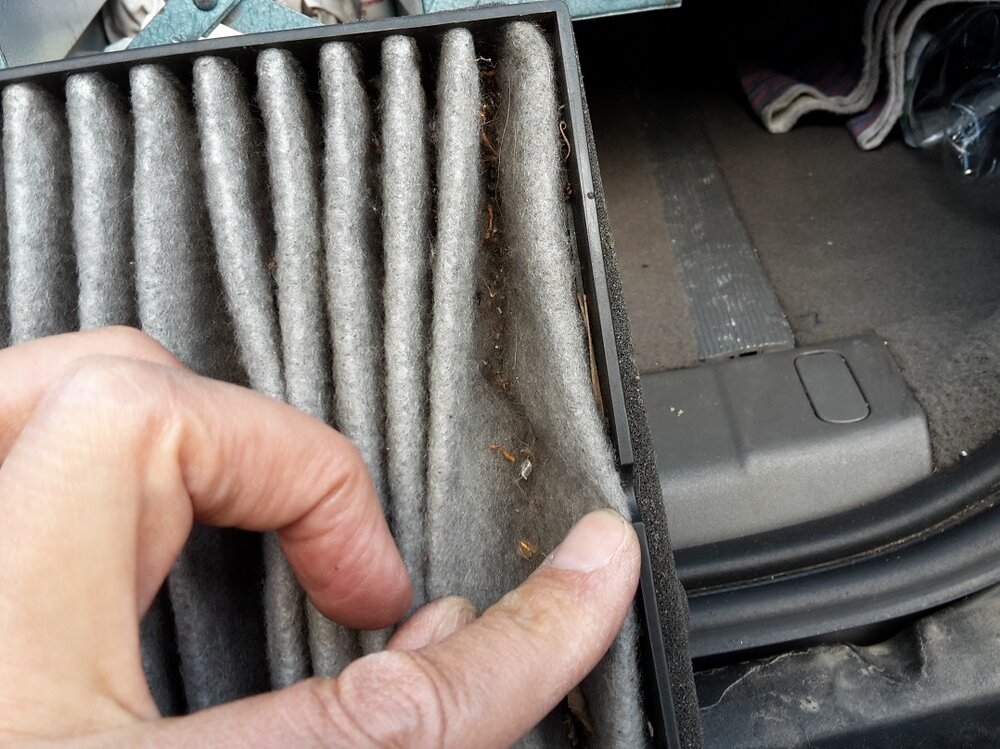 alterfilter_3.thumb.jpg.ca0fd1db5a17f3340a35be7834da3894.jpg