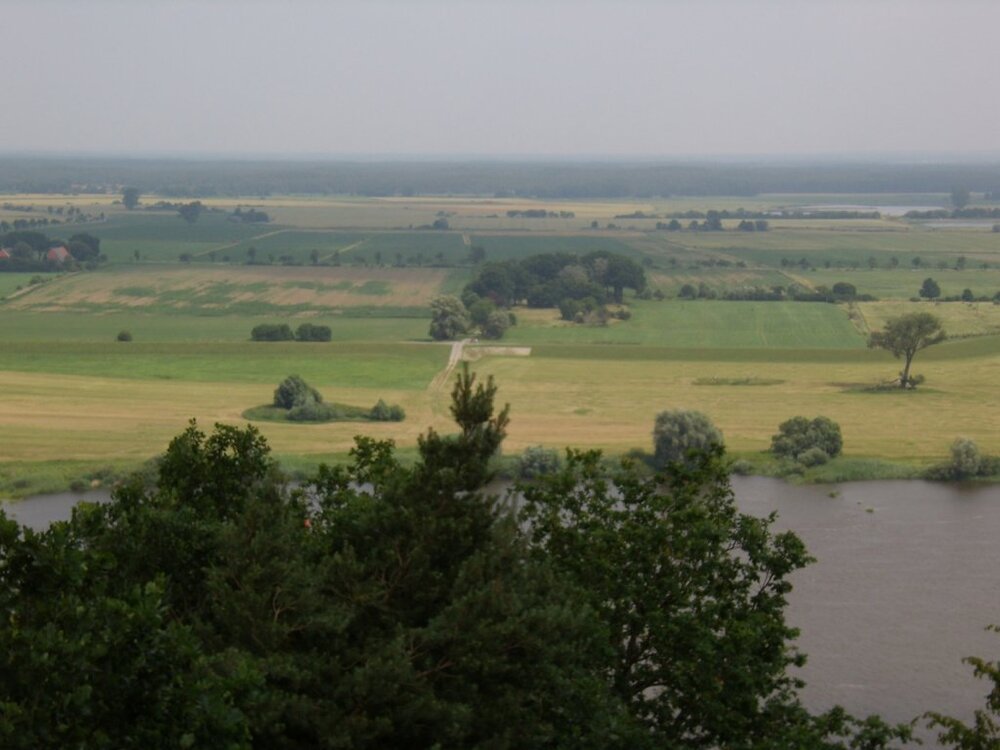 aussichtsturm.thumb.jpg.e35d11865c781eef57dbfa42ea506ff5.jpg