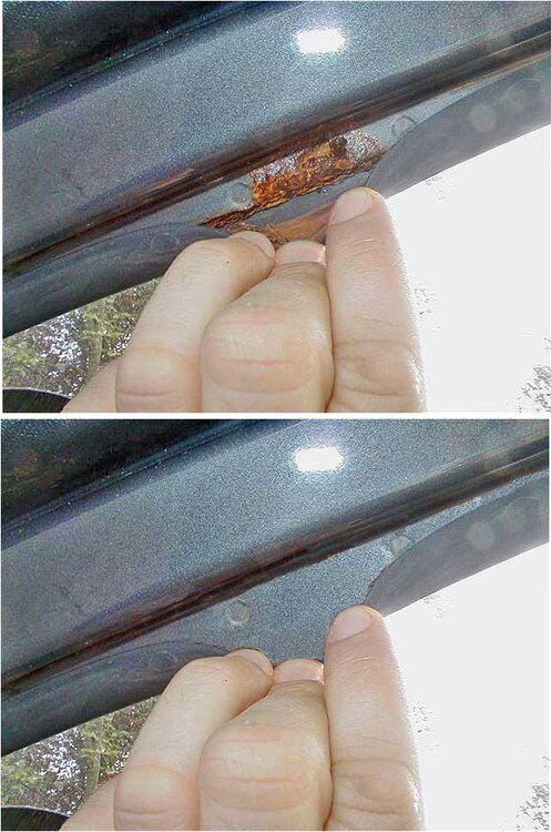 ayas-rostlaube-vorher-nachh_130.thumb.jpg.0c0302c5fb3ce19d272ca9b05139f095.jpg
