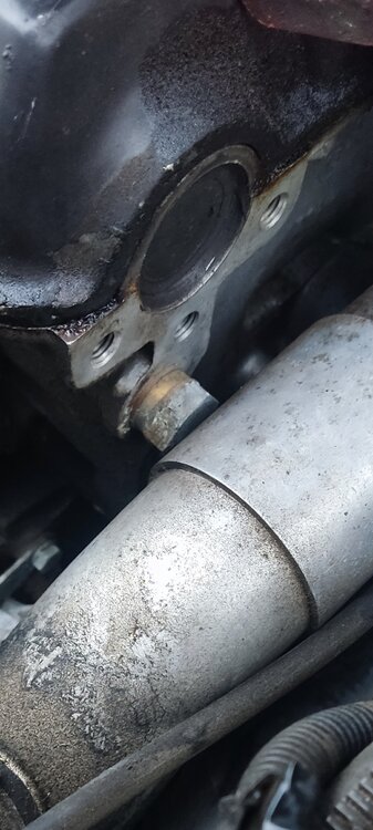 b205kopf.thumb.jpg.ce3100ebf0855c2d5e562961f1b5f327.jpg