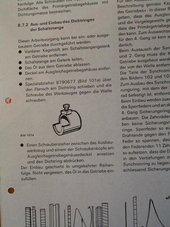 bild_003.thumb.jpg.477515a39ba1119cd9e8cf4ef33b0961.jpg
