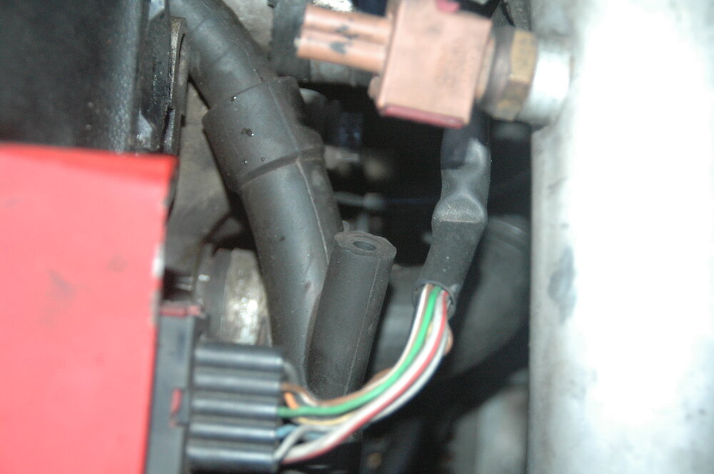 citrin0002.thumb.JPG.23150ed965fd5d32e8c1648fd2dd20cf.JPG