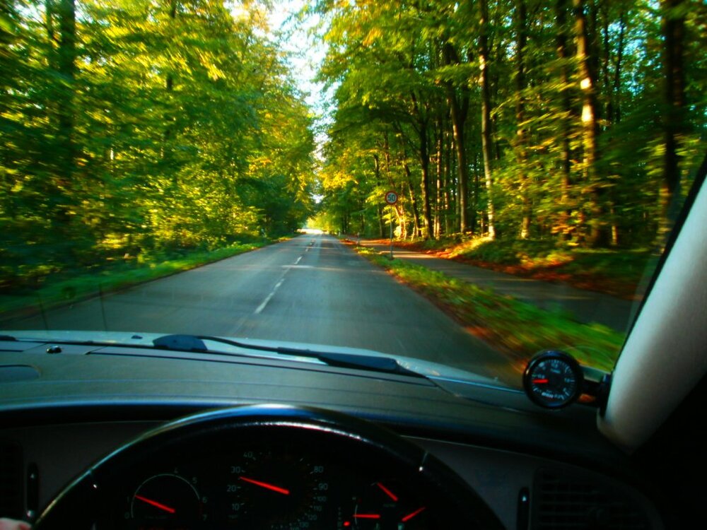 color1.thumb.jpg.c1e3b313d4fa1d987b7141f082135eda.jpg