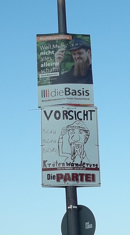 diepartei_wahlwerbung.thumb.jpg.18404f74868786547f9e77e4d6529299.jpg