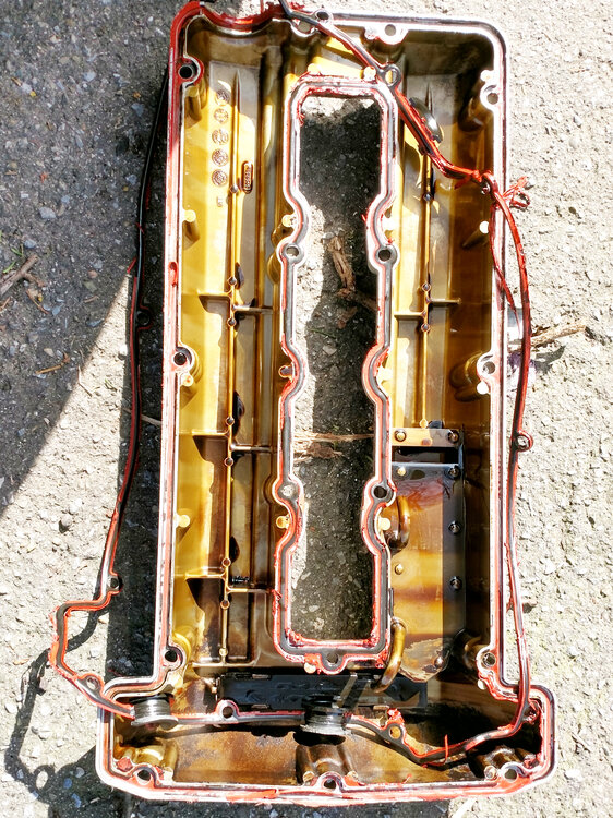 dirko2.thumb.jpg.d994132ef9dfdb67ece3d78b2686b0f1.jpg