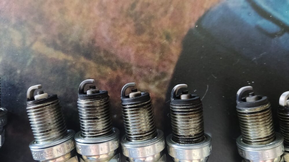 e852.thumb.jpg.5753e77f36fc38672f2dd0f1778d73c1.jpg
