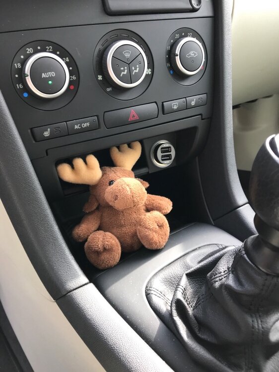 elk.thumb.jpg.60762233b67af41401f3179b9ee7bae6.jpg