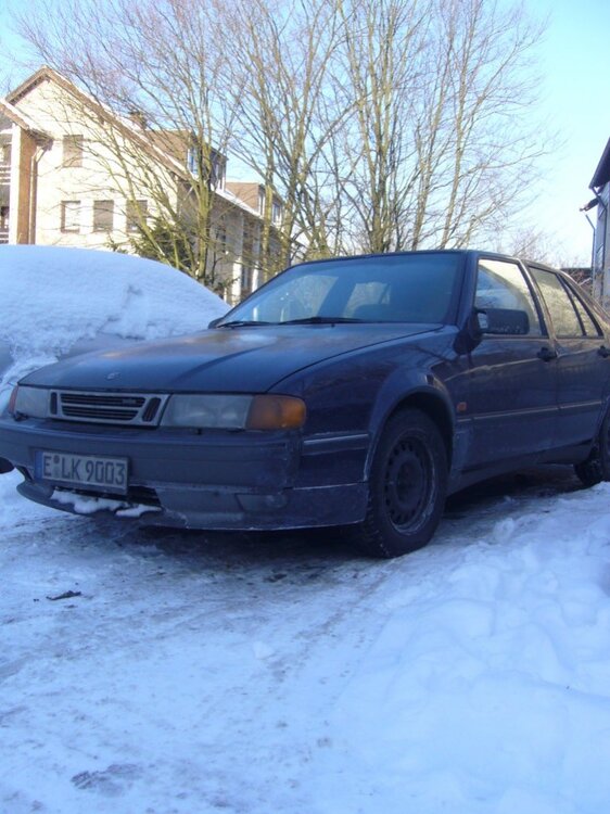 elk_vorn.thumb.jpg.d90576dff9ecfb2f319937aaedc9befd.jpg