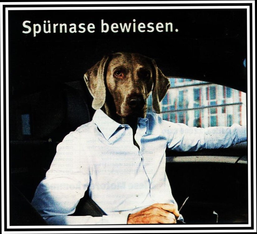 else-sprnase.thumb.jpg.a6012cbd3ebeacb555bca138e9d1d46d.jpg