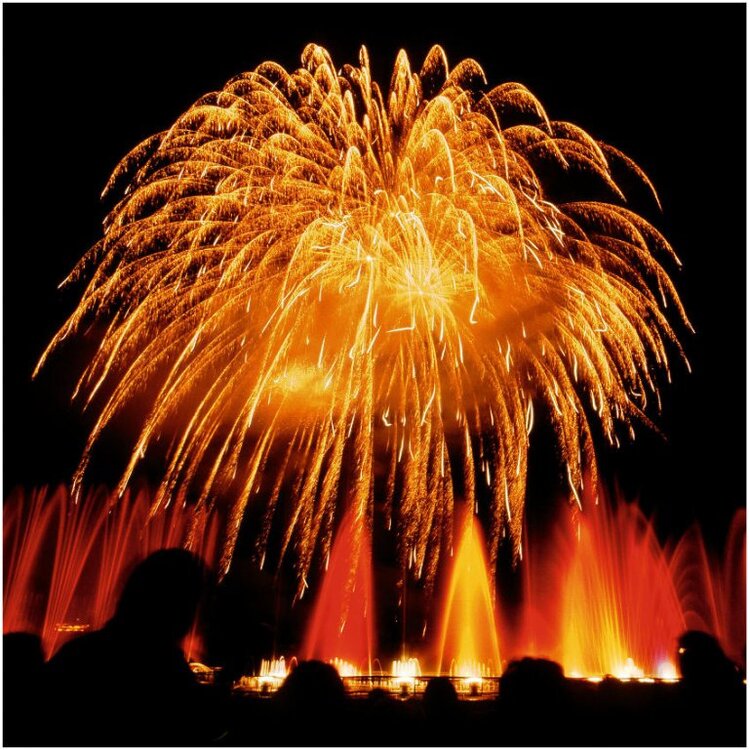 feuerwerk.thumb.jpg.c39915ca3aa428c296f59ad525a555a7.jpg