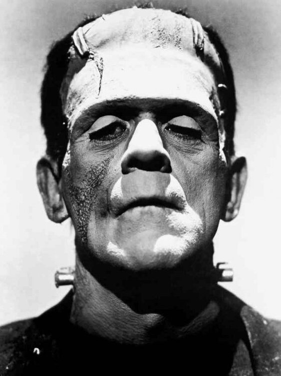 frankenstein.thumb.jpg.40825724a8c6c9b6312af84a7291f914.jpg