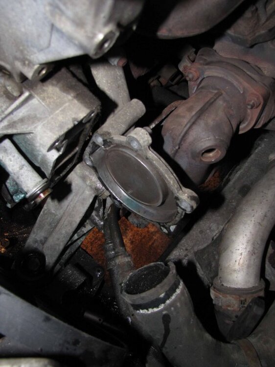 haelfte_pumpengeaeuse.thumb.jpg.e63f59c364d9b8a79f24cc3ff5010efd.jpg