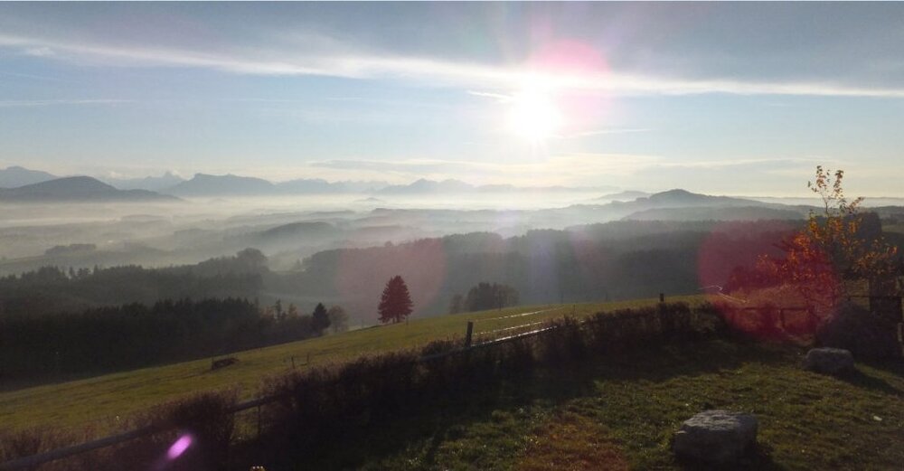 herbstlicheAbendstimmung.thumb.jpg.9a250b6cac94493b007da29eb0fbc3c3.jpg