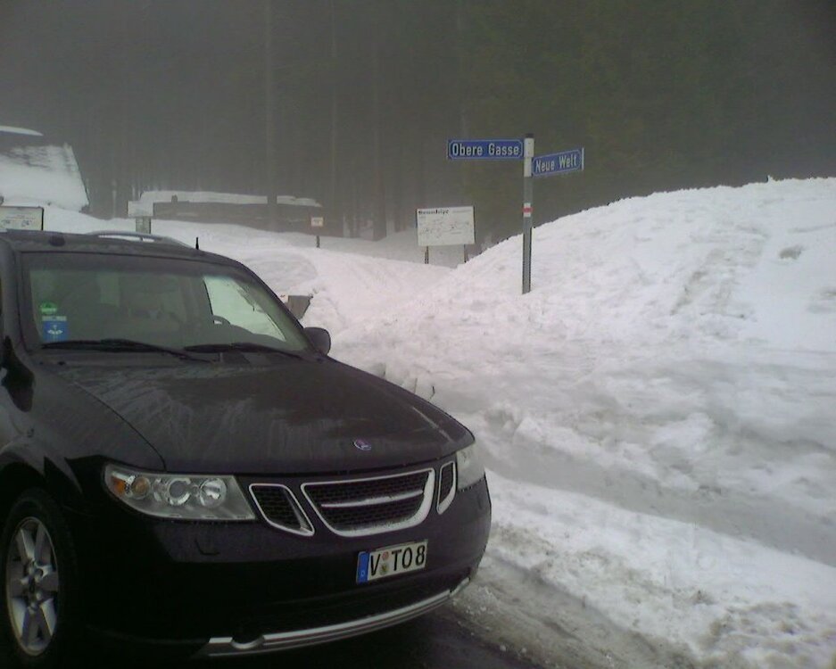 hirschkopf007.thumb.jpg.e9527656f542571fec250e27098bffe9.jpg