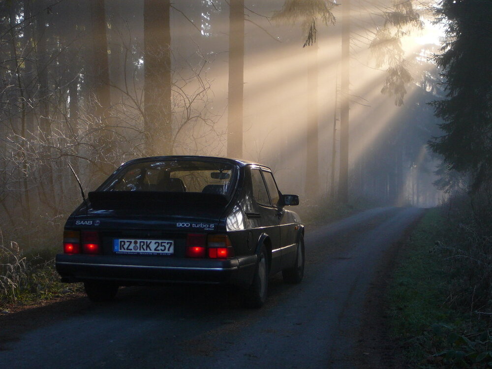 imLicht.thumb.JPG.4c77217d022bf0aed9bd6e2a2289f480.JPG