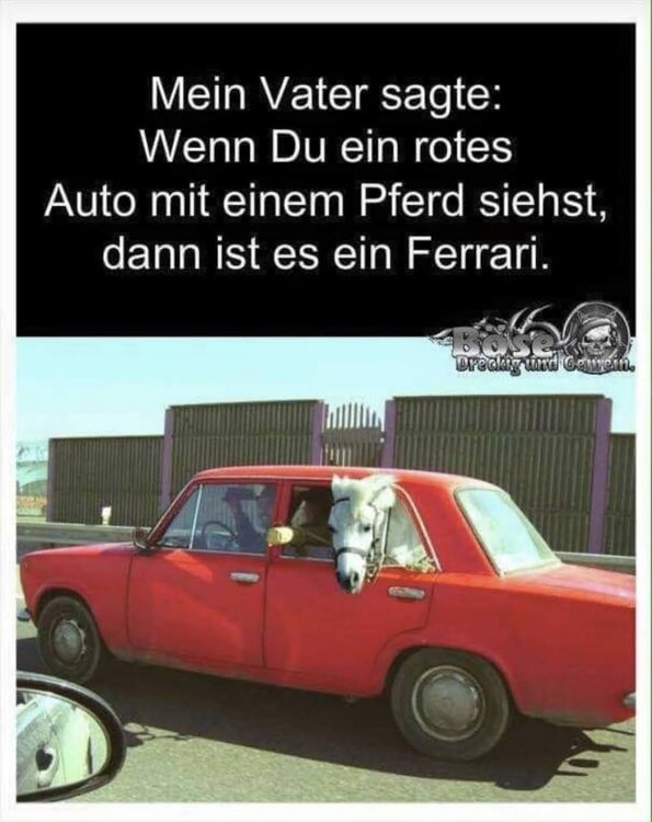 image-202104161122.thumb.jpeg.77e1c65c99a8aea8a6cf1a42e26b0297.jpeg