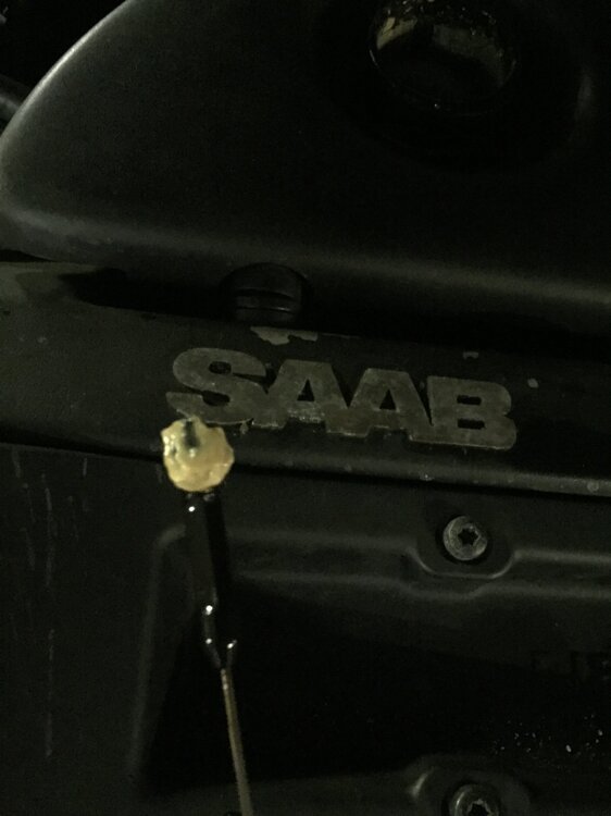 image.thumb.jpeg.3d3d78cf173592f77263e0979928490e.jpeg
